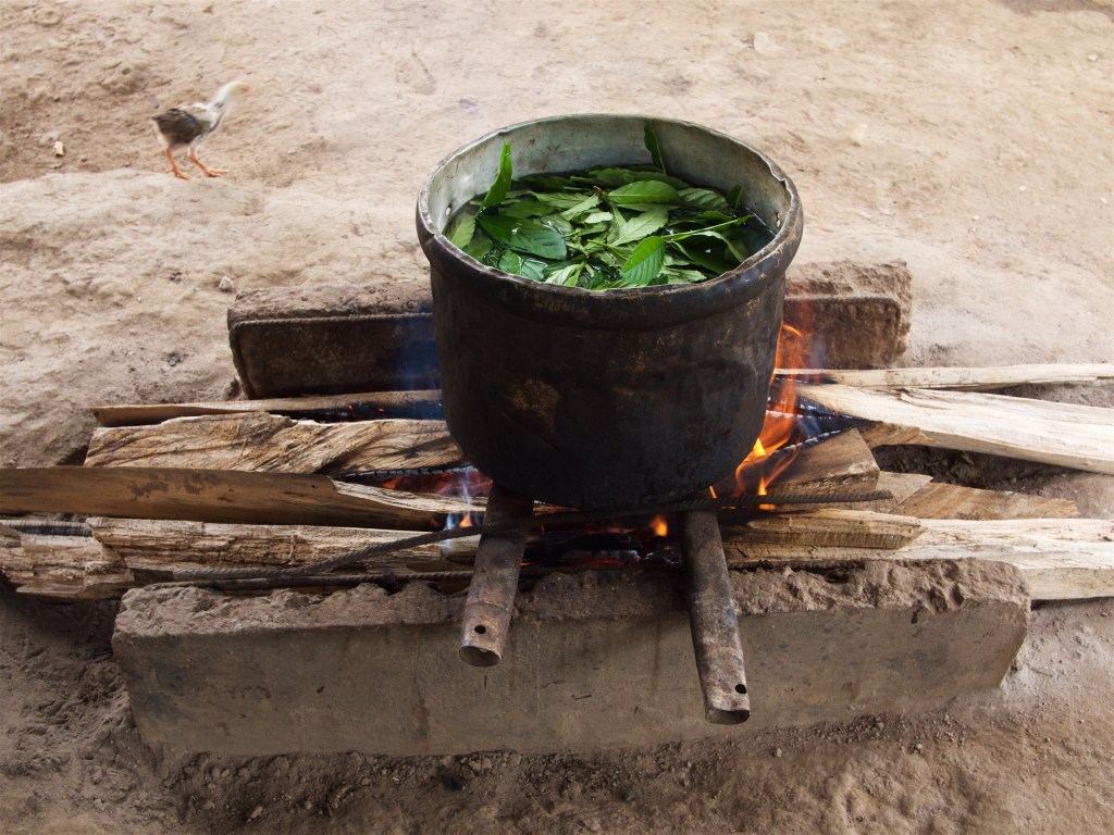 Publication: Plant Knowledges: Indigenous Approaches and Interspecies Listening Toward Decolonizing Ayahuasca Research