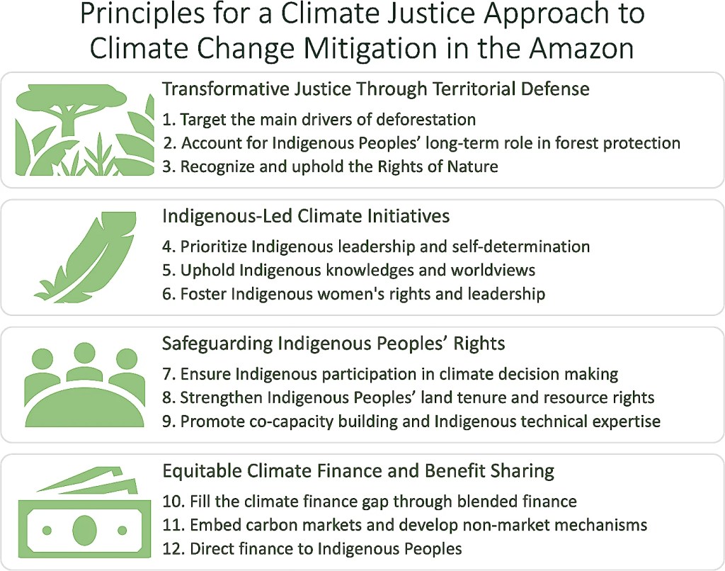 Climate Justice, Forests, and Indigenous Peoples: Toward an Alternative to REDD+ for the Amazon